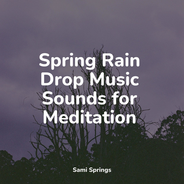 50 Serene Rain Sounds for Sleep and Serenity - Album by Soothing Baby ...