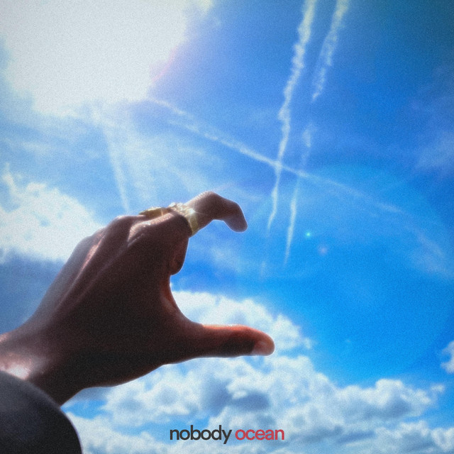 Nobody cover art
