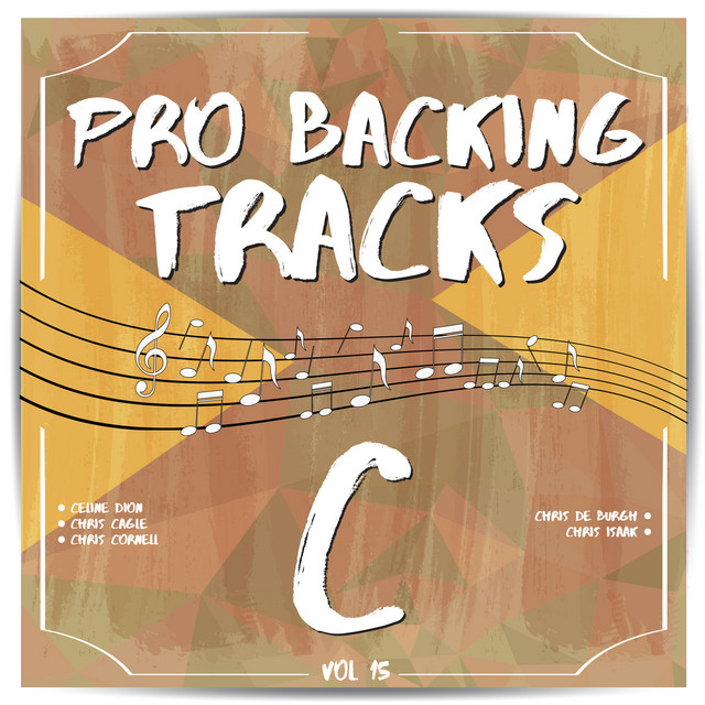 Pro Backing Tracks C, Vol. 15