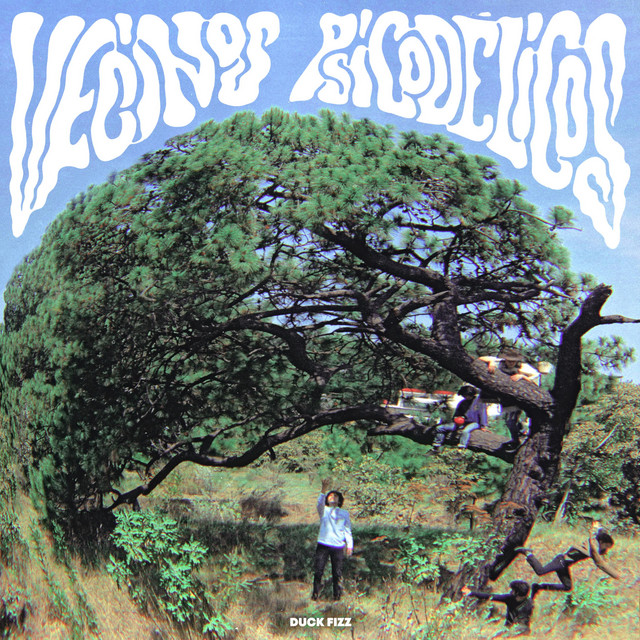 Vecinos Psicodélicos cover art
