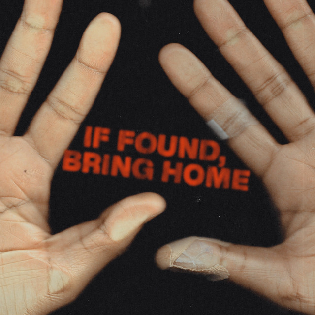 If Found, Bring Home