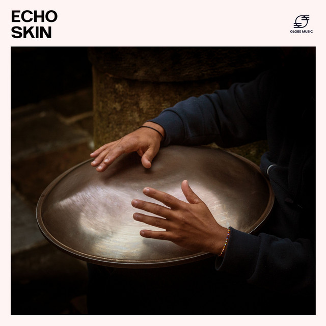 Echo Skin cover art