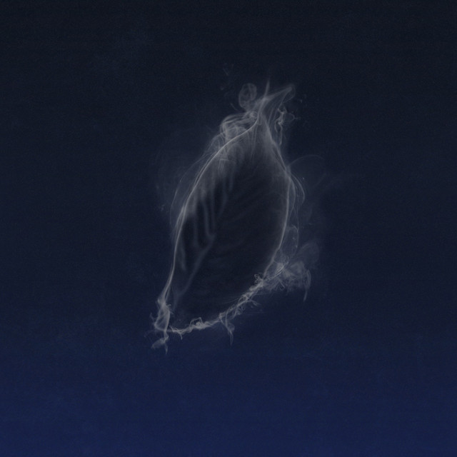 Dawn cover art