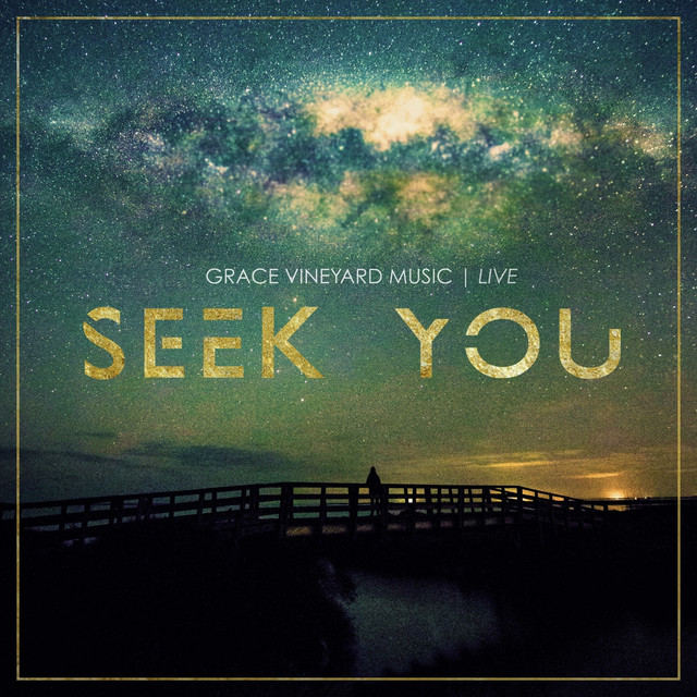 Seek You (Live) cover art