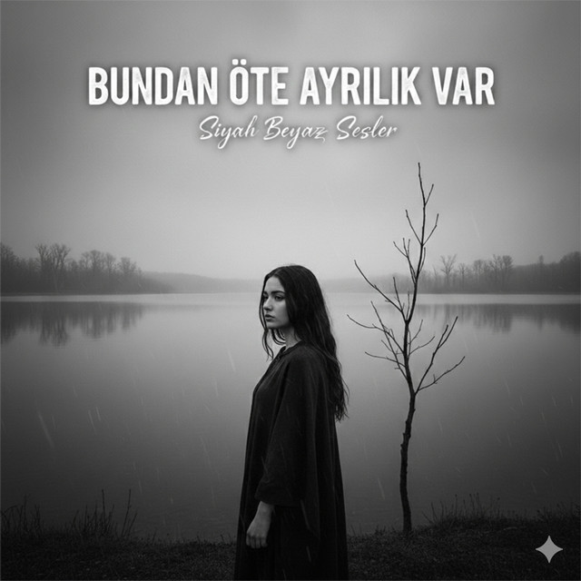 Siyah Beyaz Sesler