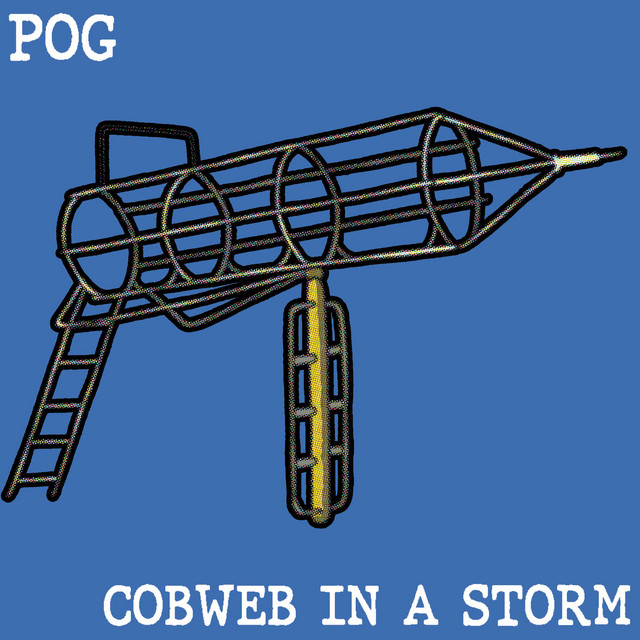 Cobweb in a Storm cover art