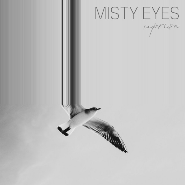 Misty Eyes Photo