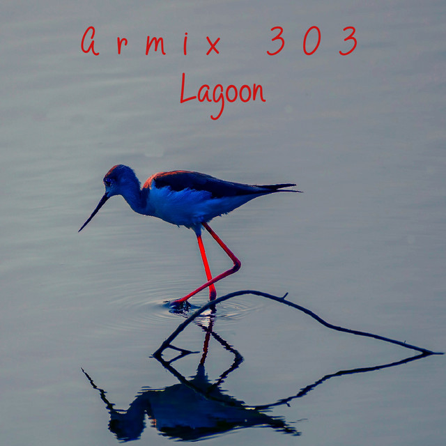 Armix 303