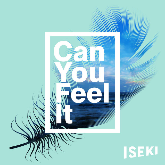 Can You Feel It cover