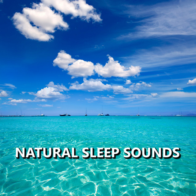 Natural Sleep Sounds cover art