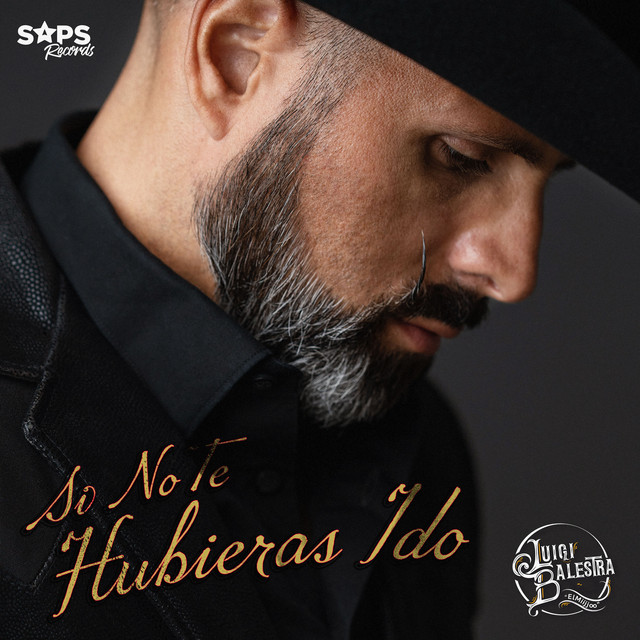 Si No Te Hubieras Ido