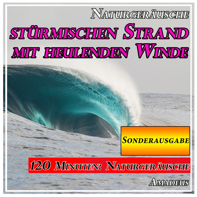 Stürmischen Strand mit heulenden Winde: Naturgeräusche: Sonderausgabe cover art