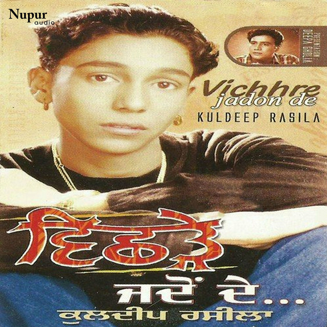 Vichhre Jadon De cover art