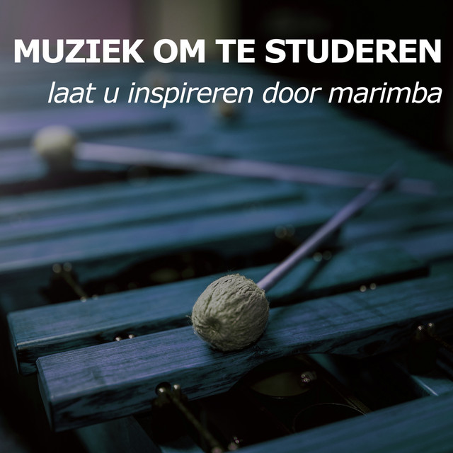 Muziek om te Studeren