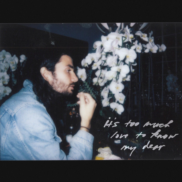it's too much love to know my dear cover art