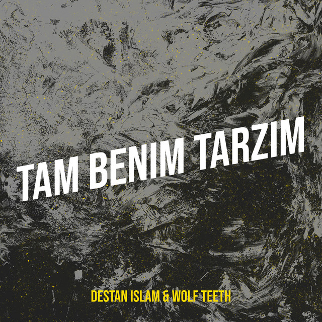 Tam Benim Tarzim cover art
