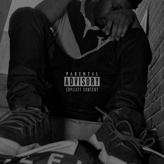 Fv3 cover art
