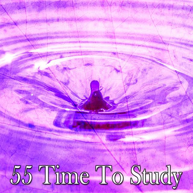 55-time-to-study-album-by-massage-therapy-music-spotify