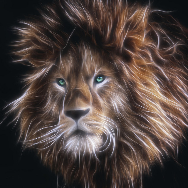 Lion Head cover art