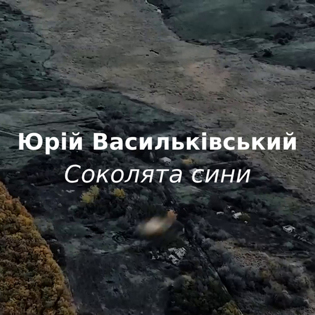 Обкладинка: Соколята сини — Юрій Васильківський