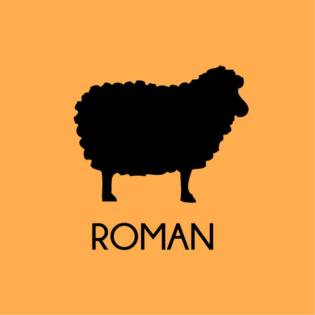ROMAN cover art