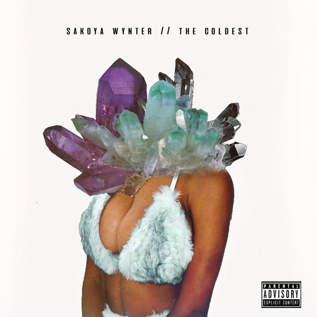 The Coldest cover art