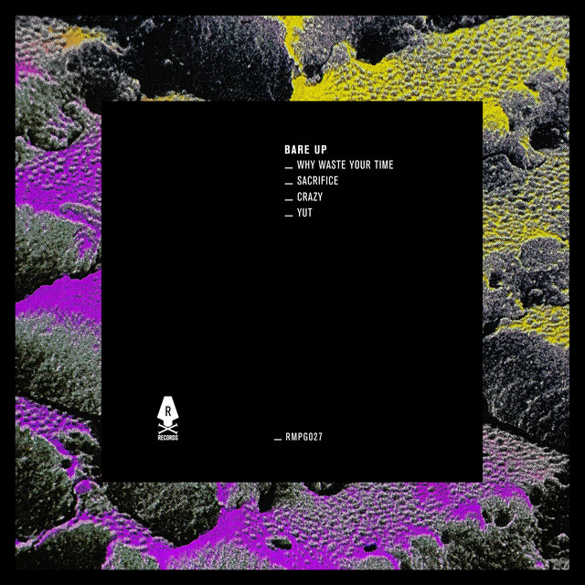 Why Waste Your Time artwork