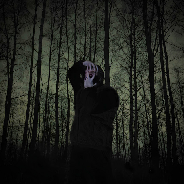 WOLFCORE cover art