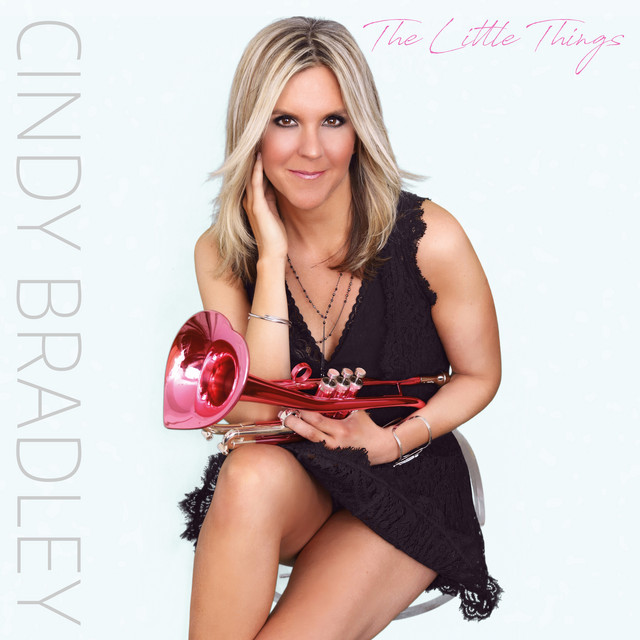 The Little Things cover art