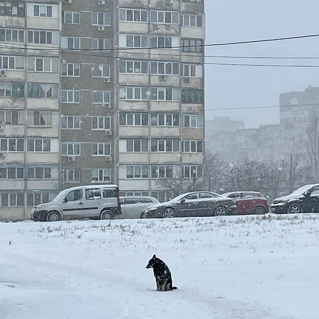 Cover art: 25 — Мужики