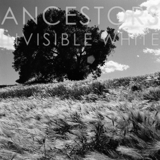 Invisible White (single)