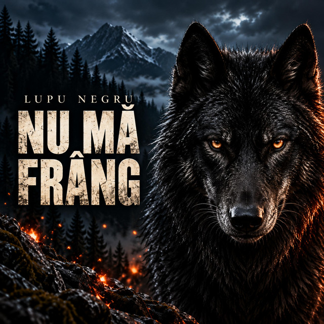 Nu mă frâng cover