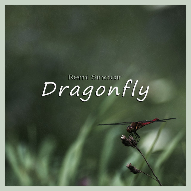 Dragonfly by Remi Sinclair