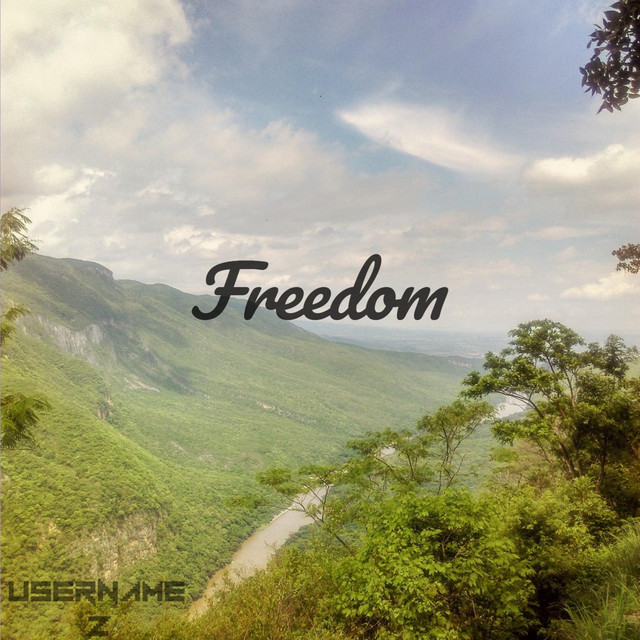 Freedom cover