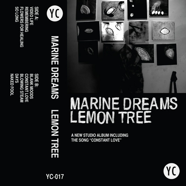 Lemon Tree cover