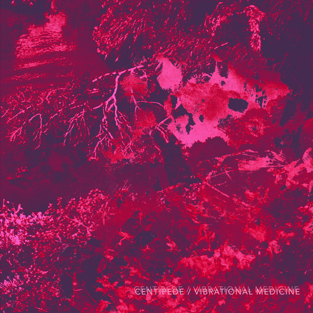 Vibrational Medicine cover art