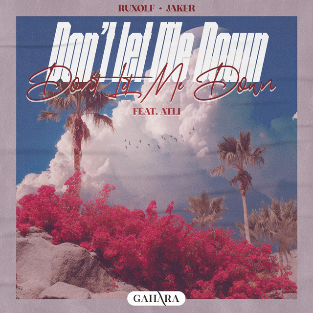 Don't Let Me Down