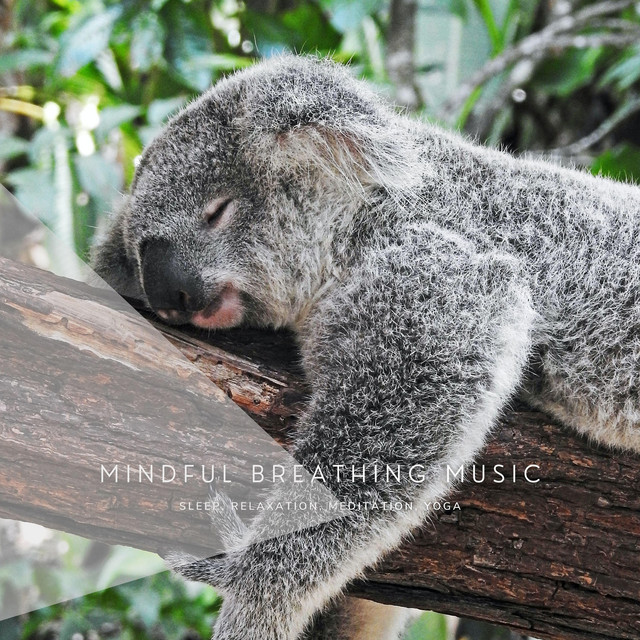 Mindful Breathing Music (Sleep, Relaxation, Meditation, Yoga) cover art