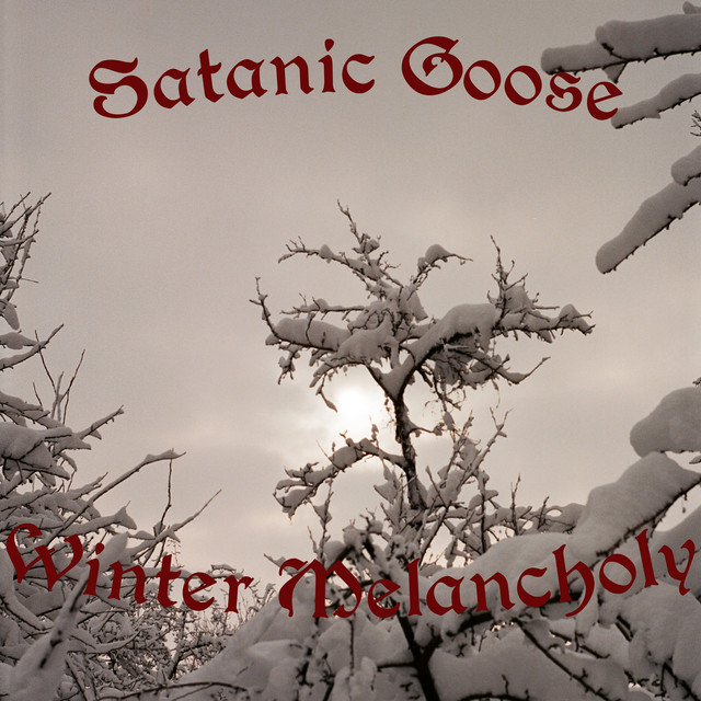 Winter Melancholy - Single by Satanic Goose | Spotify