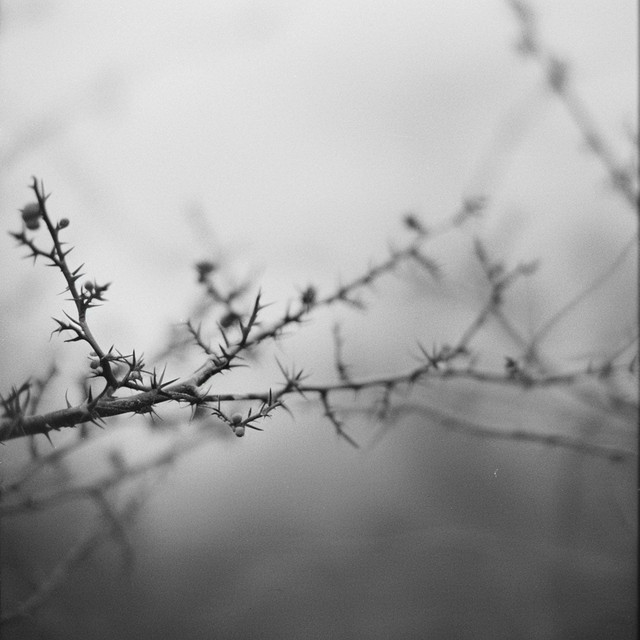 Slow Oxide