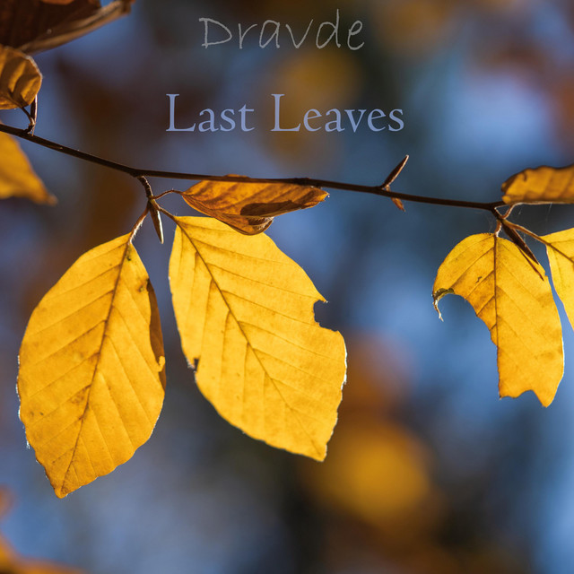 Last Leaves cover art