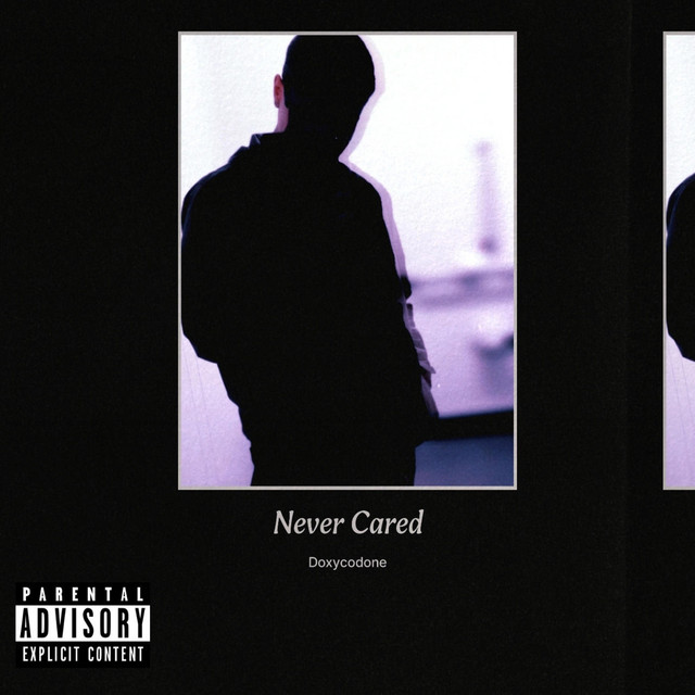 Never Cared cover art