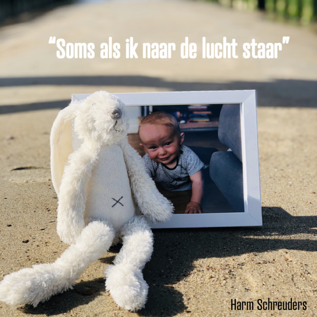 Harm Schreuders