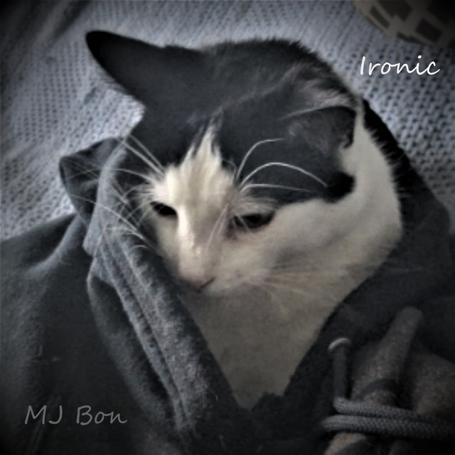 Ironic - Single by MJ Bon | Spotify