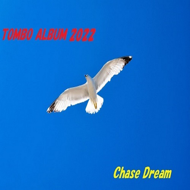 Chase Dream cover art