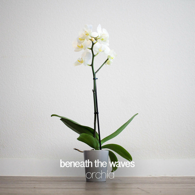 Orchid cover art
