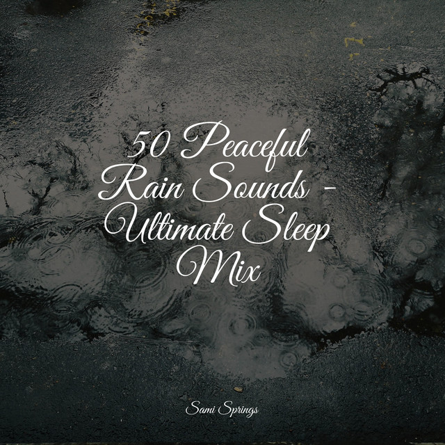 50 Peaceful Rain Sounds - Ultimate Sleep Mix - Album by Nature Sound ...