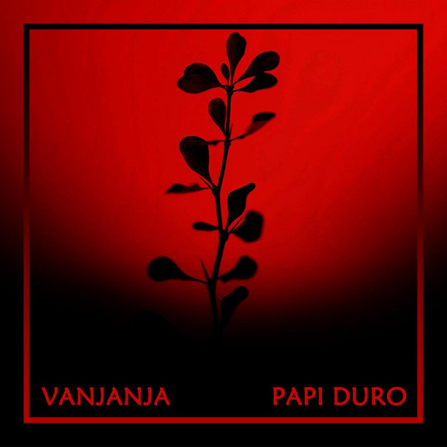 Papi Duro cover art