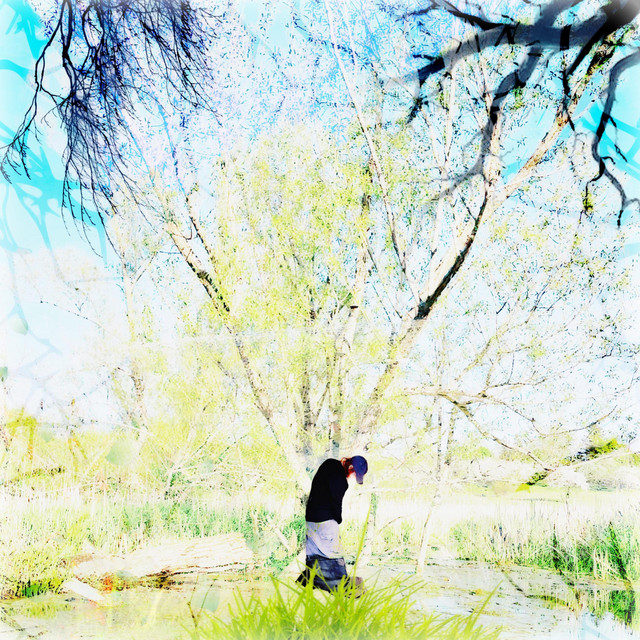 Sentence cover art