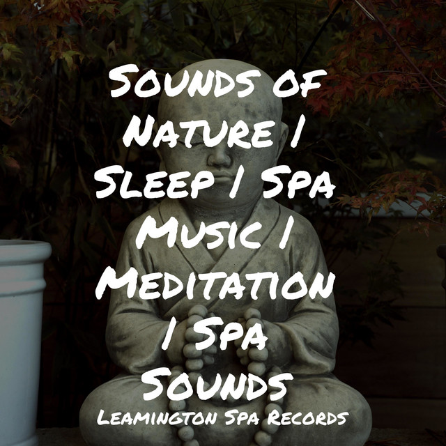 Sounds of Nature | Sleep | Spa Music | Meditation | Spa Sounds - Album ...
